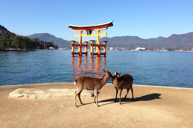 Miyajima Full Day Tour - Good To Know