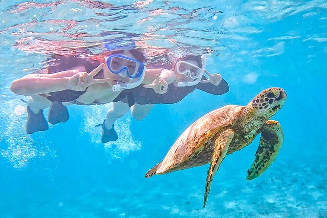 Miyako Two Activities in Half Day SUP and Sea Turtle Snorkeling - Good To Know