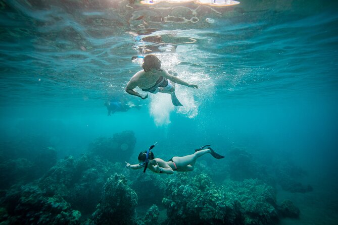 Molokini Snorkel & Whale Watching From Kihei - Key Points