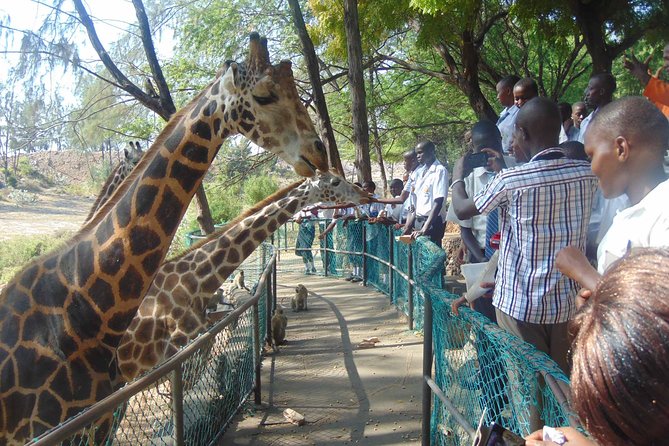 Mombasa Private City Tour & Haller Park Sanctuary With Sea Food Luch - Itinerary Details