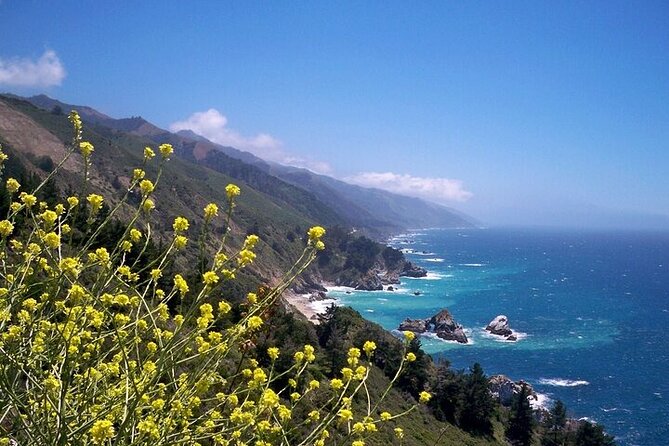 Monterey Carmel Big Sur Pebble Beach by Luxury Vehicle 5 Hrs~ - Key Points