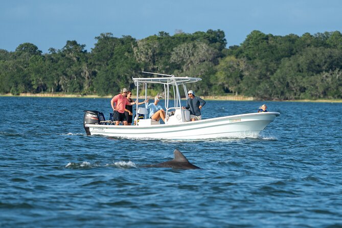 Morning Beaufort River Tour Review - Good To Know
