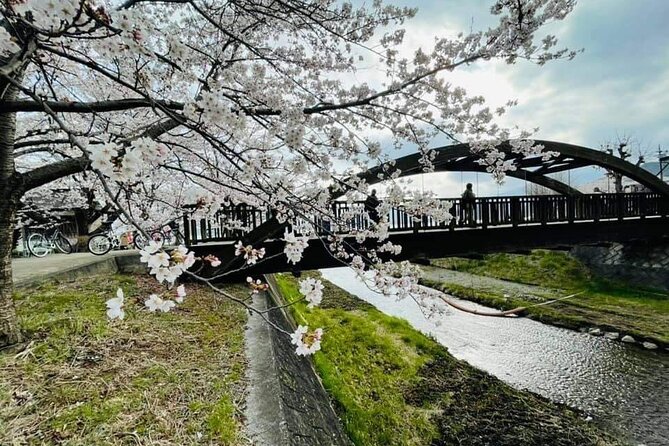 Mount Fuji 5th Station Kawaguchiko Gotemba Mall Tour From Tokyo - Key Points