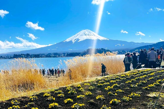Mount Fuji Full Day Private Tour - Good To Know