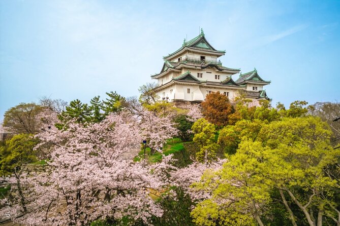 Mount Koya, Wakayama and Nachi Waterfall Tour - Key Points