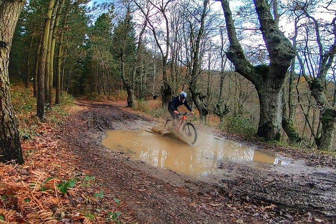 Mountain Bike for All Levels, in the Basque Heart - Exploring San Sebastians Biking Trails