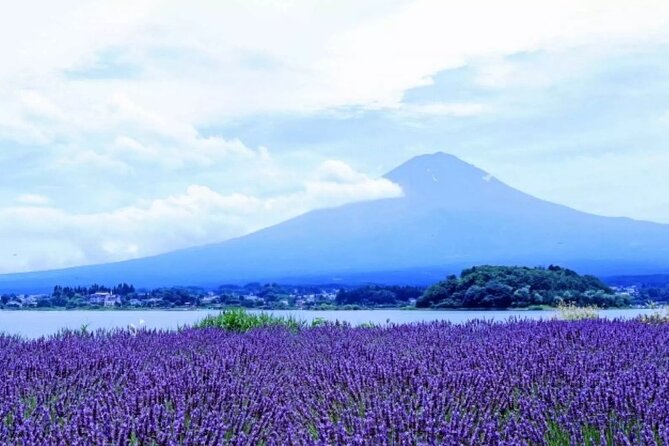 Mt. Fuji Day Tour From Shinjuku in Tokyo Japan - Tour Overview