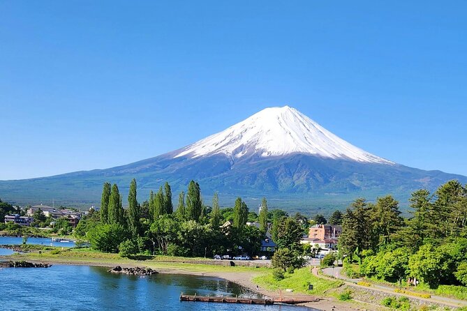 Mt FUJI Day Tour With Private Car and English Speaking Guide - Key Points