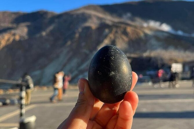 Mt. Fuji & Hakone Cherry Blossom Private One Day Tour - Tour Overview