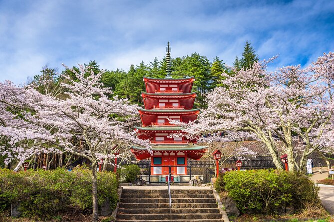 Mt. Fuji Highlight Photo Spots One Day Tour From Tokyo - Notable Reviews