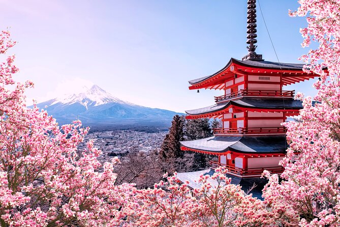 Mt Fuji Kawaguchi/Hakone/Yokohama Tokyo Customize Private Car - Good To Know