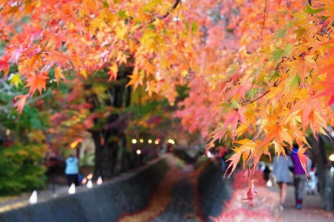 Mt Fuji Kawaguchiko Oishi Park Oshino Hakkai & Gotemba Tour｜Tokyo - Key Points