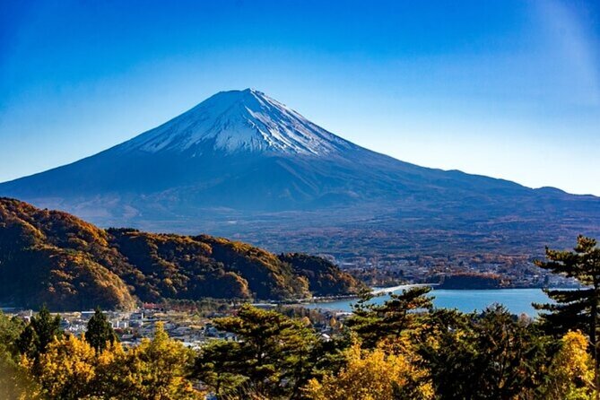 Mt. Fuji Private Tour From Tokyo With English Guide - Good To Know