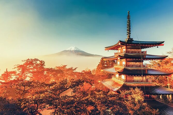 Mt Fuji Scenic Views and Lake Kawaguchi Floral Tour From Tokyo - Key Points