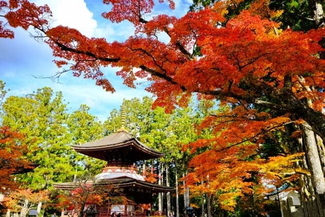Mt Koya 1 Day Bus Tour From Osaka - Key Points
