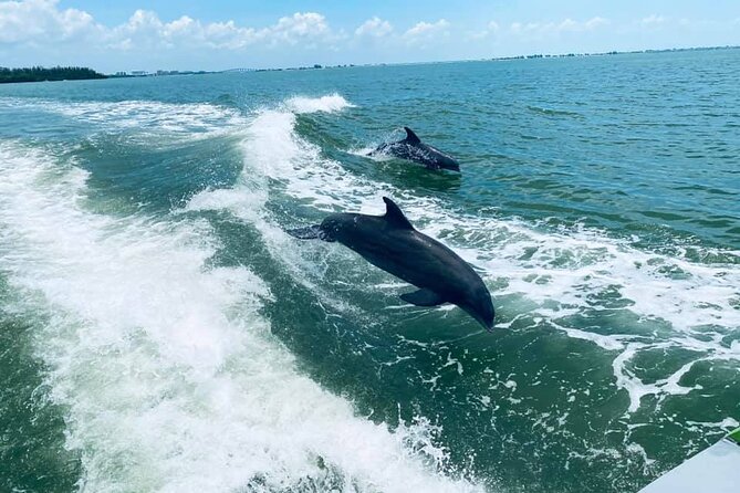 Myrtle Beach Dolphin Cruise - Good To Know