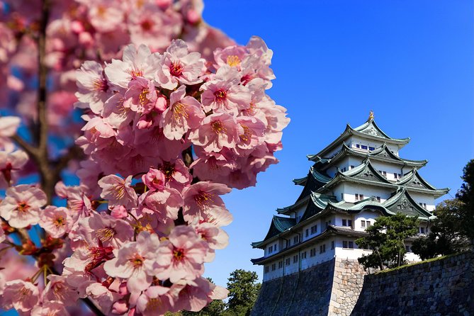 Nagoya One Day Tour With a Local: 100% Personalized & Private - Good To Know