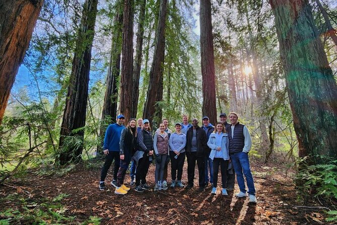 Napa Valley Redwood Hike Review - Good To Know