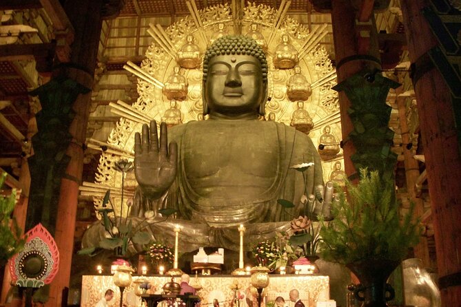 Nara World Heritage PRIVATE TOUR - Health and Accessibility