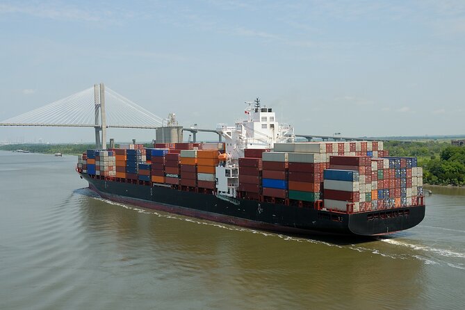 Narrated Port Tour Cruise of Savannah - Amenities and Restrictions