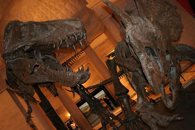 Natural History Museum of Los Angeles County Admission - Good To Know