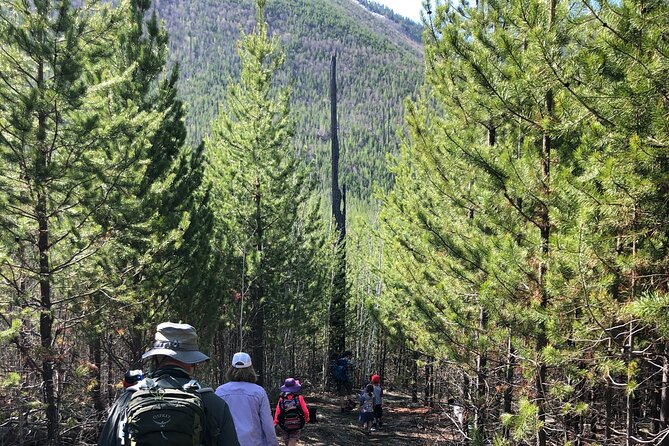 Nature Walk in Glacier National Park - About Your Stay