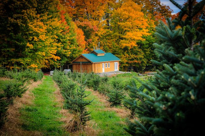 Nature Walk Review: A Scenic Vermont Experience - Activity Overview