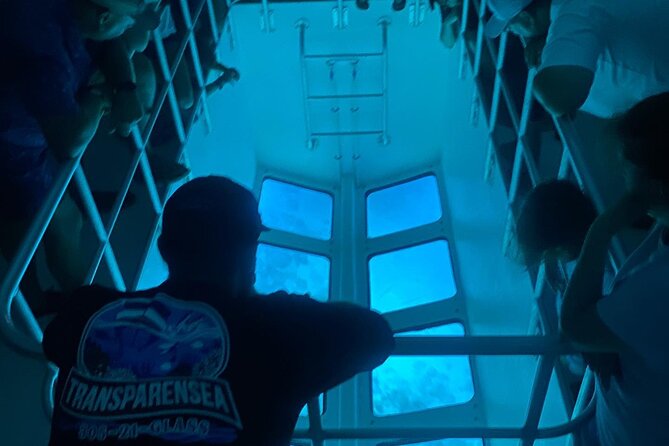 Night Tour Glass Bottom Boat Review - Good To Know