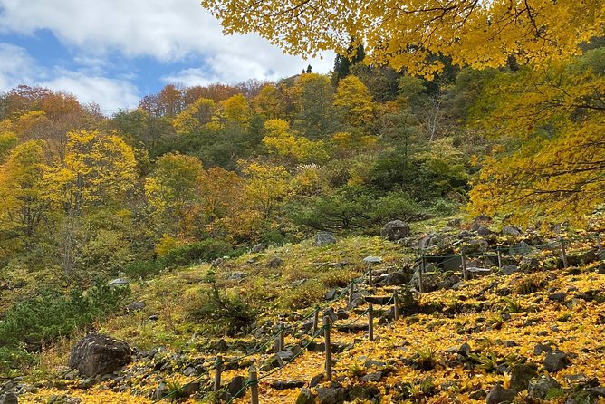 Niigata Private Customizable Half Day Tour - Key Points