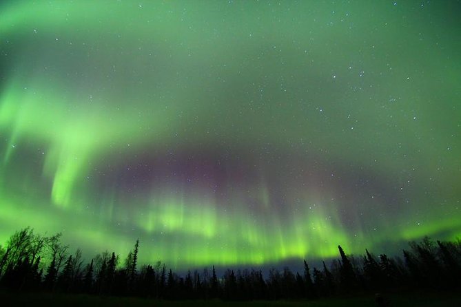 Northern Lights Murphy Dome Viewing in Fairbanks - Good To Know