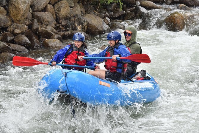 Numbers Half Day Arkansas River Rafting Review - Overview of the Activity