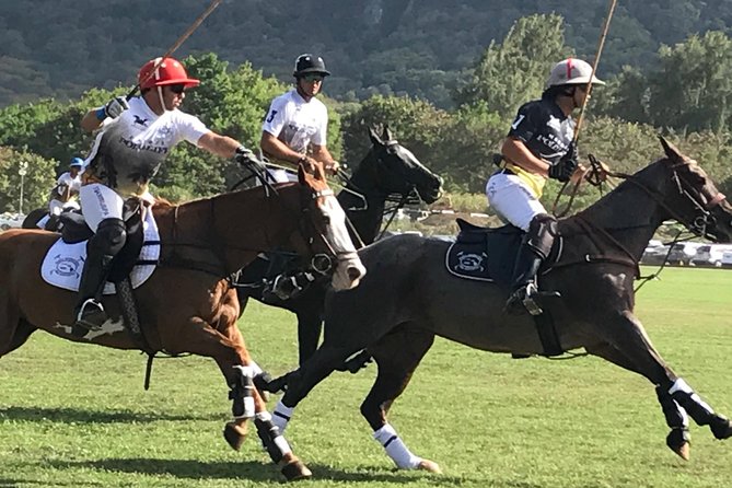 Oahu Polo Game and Private Island Tour Review - Tour Overview and Pricing
