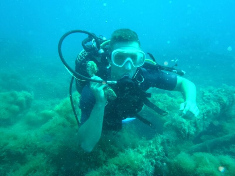 Octopus Rocks - Activity Overview