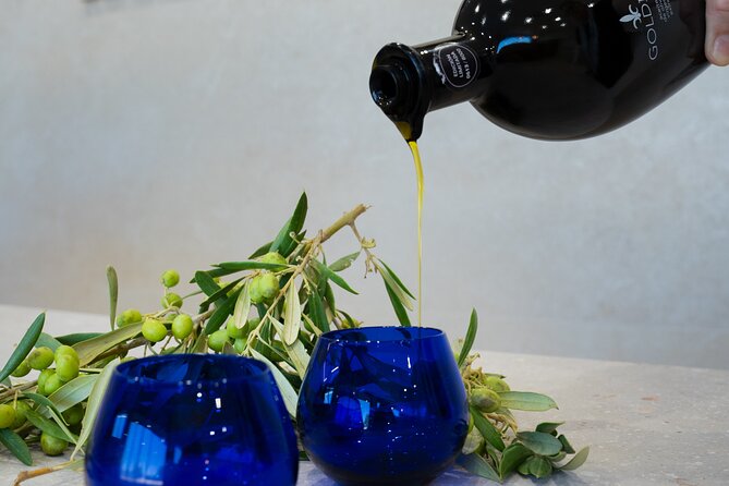 Olive Oil and Winery Tour From Zaragoza City - Key Points