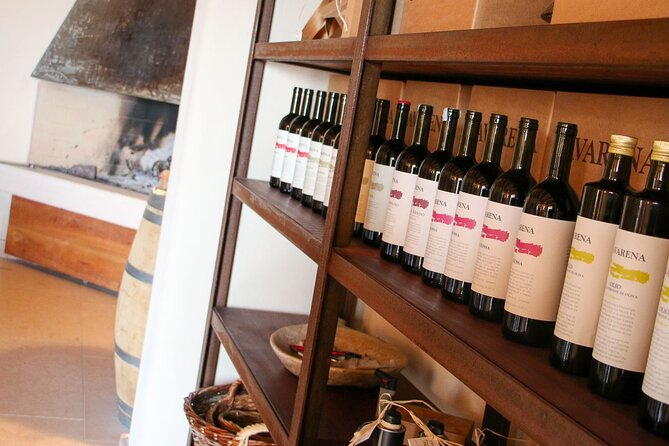 Olive Oil Tasting on The Hills of Valpolicella - Key Points