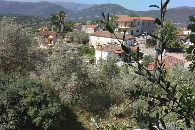 Olive Oil Tour - From Athens - Key Points