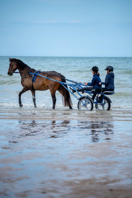 Omaha Beach: Sulky Baptism on the Beach - Key Points
