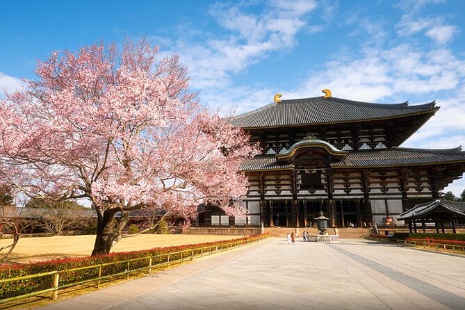 One Day Customized Self-Guided Tour in Nara - Transportation and Vehicle Information