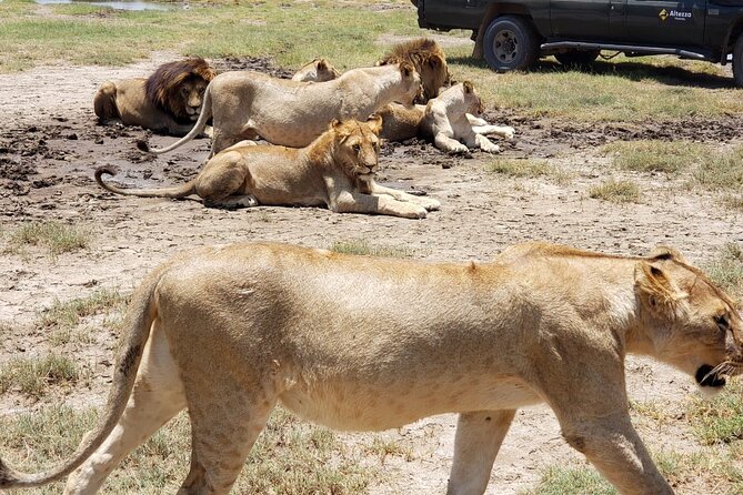 One Day Tanzania Safari - Tarangire or Arusha National Park - Cancellation and Payment Information