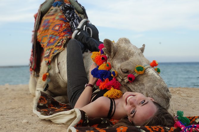 One Hour Camel Ride at Amazing Marsa Alam Desert With Transfer - Marsa Alam - Key Points