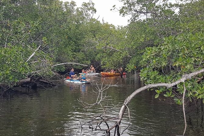 One Way Ticket To Paradise Ft. Lauderdale Exploration Paddle Tour - About Your Stay