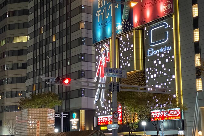 Osaka City Highlights Tour! - Tour Overview