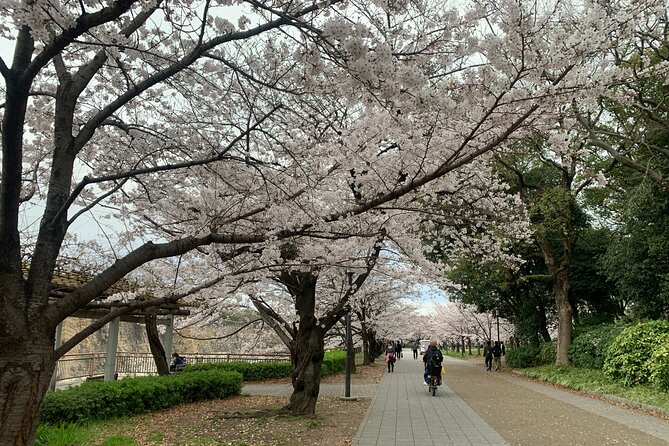 Osaka Highlights: 4HRS Guided Walking Tour With a Native Expert - Tour Overview