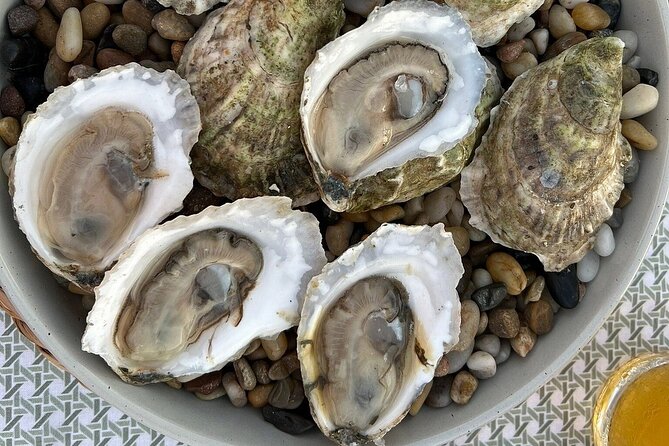 Oyster and Wine Tasting Review: A Coastal Delight - Good To Know