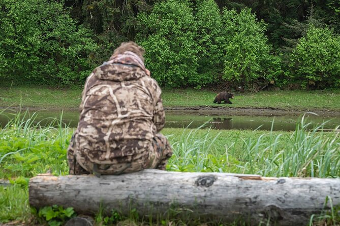 Pack Creek Bear Viewing: A Review - Good To Know