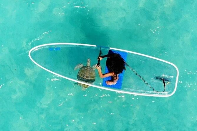 Paddle Board Experience in Turks & Caicos Islands