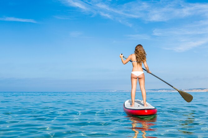 Paddle Board Rental Miami Beach - Overview of Paddle Board Rentals