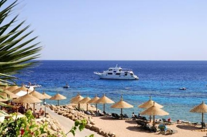 Parasailing Adventure On Marine Try Fly - Sharm El Sheikh - Key Points