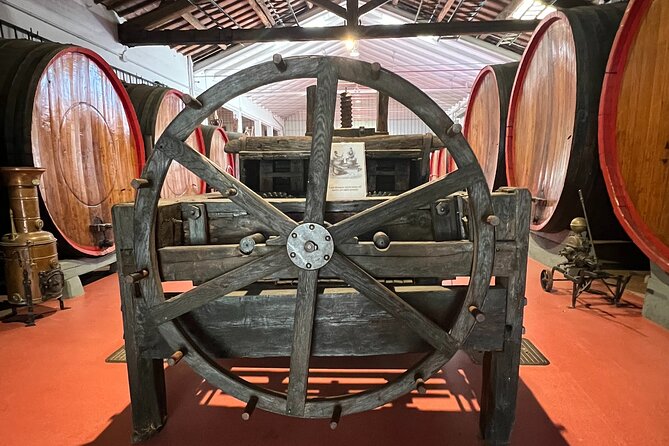 Parmesan, Wine, Balsamic Full Day Tour With Light Lunch - Tour Overview