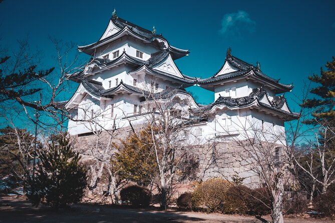 Path of Ninjas & Samurais: Private Van History Tour From Kyoto - Inclusions and Fees